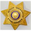 Image 1 : Badge from Lyon County Nevada