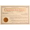 Image 1 : Appropriator's Canal Co Stock