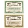 Image 1 : Atlantic and Pacific Steamship Co Stocks, 2 specimens