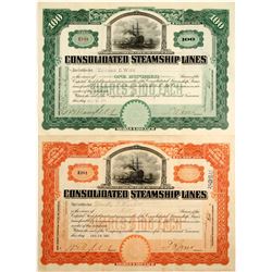 Consolidated Steamship Lines Stocks (2)