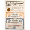 Image 1 : Detroit and Cleveland Navigation Co. Stocks (3)