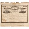 Image 1 : Atlantic and Mississippi Steamship Co Stock