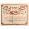 Image 1 : Catskill Ferry Co Stock