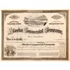Image 1 : Alaska Commerical Company stock