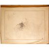 Image 1 : Original San Francisco, CA Engraved Map