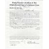 Image 1 : Lander County Abandonment Papers (Includes Many Chinese)