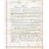 Image 2 : Lander County Abandonment Papers (Includes Many Chinese)