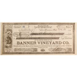 Banner Vineyard Co capital stock