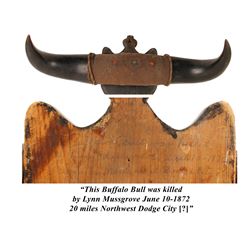 Buffalo Horn and Shield