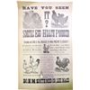 Image 1 : Chickens and Egg Broadside