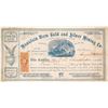 Image 1 : Mountain View Gold and Silver Mining Company stock
