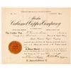 Image 1 : Alaska Calumet Copper Company