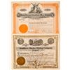 Image 1 : Two early Alaskan stocks