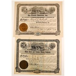 White River & Tanana Mining stock