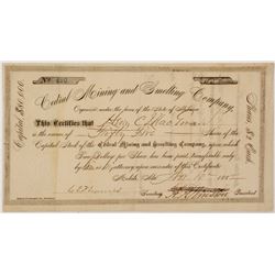 Cedral Mining & Smelting Company Stock Certificate 1