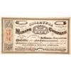 Image 1 : Cocamunga Mining Company Stock