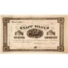 Image 1 : Knapp Silver Mining Company Stock