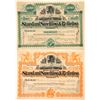 Image 1 : Gwo Different Standard Smelting & Refining Company Stock Certificates
