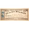 Image 1 : Mohave Consolidated Gold and Silver Mining Company Stock