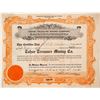 Image 1 : Tahoe Treasure Mining Co. Stock, West Shore Lake Tahoe, Cal.
