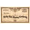 Image 1 : Selby Hill Mining Company Stock Certificate, Nevada City, CA 1877 (G.T. Brown Lith)