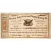 Image 1 : Starkey Gold Silver and Copper Mining Company Stock