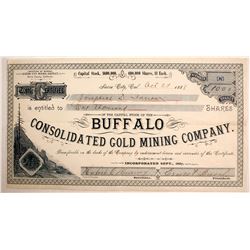 Buffalo Con Gold Mining Stock