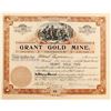 Image 1 : Grant Gold Mine