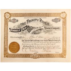 Trinity River Hydraulic Gold Mining Co. stock