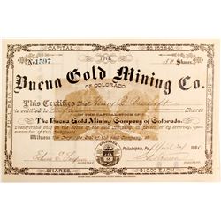 Buena Gold Mining Company Stock