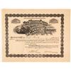 Image 1 : The Wilson Creek Consolidated Mining & Milling Co. Stock Certificate, Cripple Creek, 1900