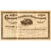 Image 1 : Custer County Consolidated Mining Company Stock Certificate, 1879