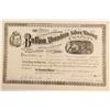 Image 1 : Bullion Mountain Silver Company of Colorado Stock