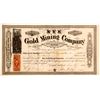Image 1 : Nye Gold Mining Co Stock