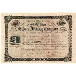 The Madeline Silver Mining Co. Stock Certificate, Texas Creek, CO, 1883