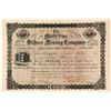 Image 1 : The Madeline Silver Mining Co. Stock Certificate, Texas Creek, CO, 1883
