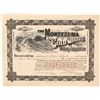 Image 1 : Montezuma Gold Mining & Milling Corporation Stock Certificate, Barnes City, CO, 1902