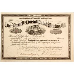 Farwell Consolidated Mining Company stock