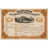 Image 1 : Del Monte Consolidated Mining Company Stock