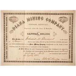 Diana Mining Company Stock