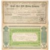 Image 1 : Eagle Nest Hill Mining Company Stock