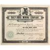 Image 1 : Daly-Judge Mining Company Stock
