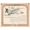 Image 1 : Cherry Creek Placer Mining, Milling & Land Co. Stock Certificate, 1896