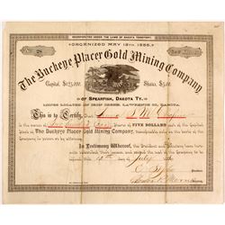 Buckeye Placer Gold Mining Co. Stock Certificate, Spearfish, D.T., 1886