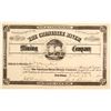 Image 1 : Chestatee River Mining Company Stock