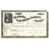 Image 1 : Findley Gold Mining Co Stock