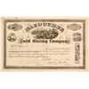 Image 1 : Nacoochee Gold Mining Company Stock