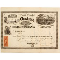 Lumpkin Chestatee Mining Company Stock
