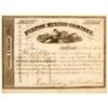 Image 1 : Fulton Mining Company Stock