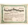 Image 1 : Oneco Copper Mining Stocks